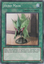 Hero Mask - RYMP-EN030 - Common - 1st Edition